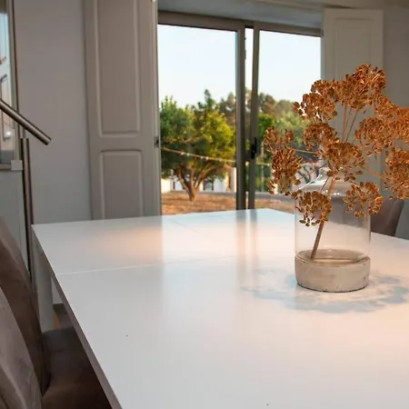 Beautiful Cozy Near Nazare, Leiria&batalha Juncal (Leiria)