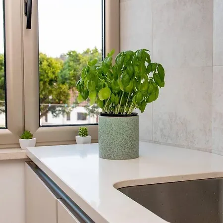 Beautiful Cozy Near Nazare, Leiria&batalha Prázdninový dům Juncal (Leiria)